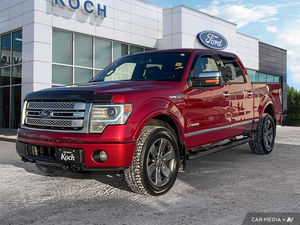 2014 Ford F-150 PLATINUM