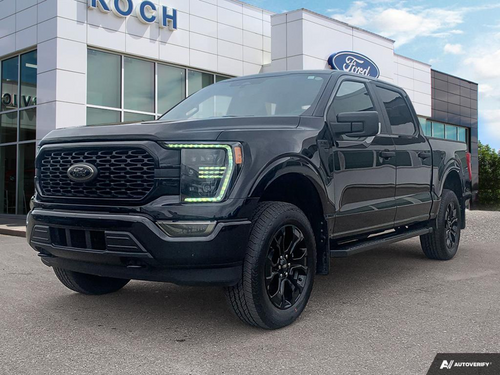 2022 Ford F-150 XL STX